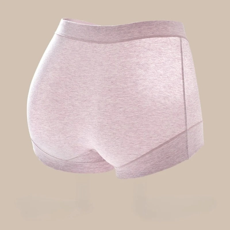 PureOnSkin Women's High-Waist Cotton Boxer Briefs & Seamless Boyshorts